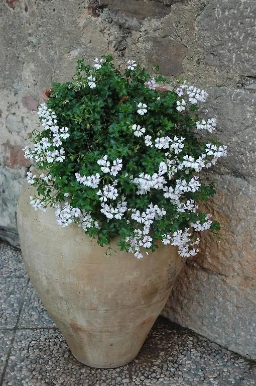 Il Vecchio Frantoio Villa Scillato